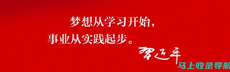 从实践出发：站长资讯经验交流发言中的智慧与策略